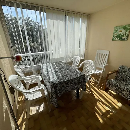 150 M De La Plage, Vue Et Pinede... 公寓